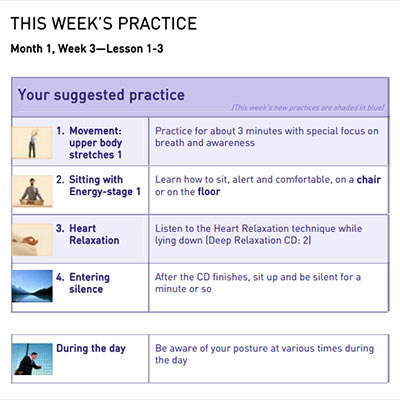 Dru meditation online success course - month 1 content preview