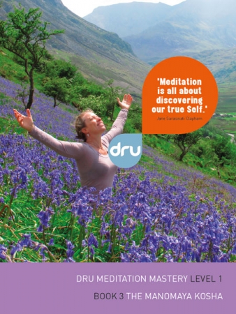 Dru Meditation Mastery Book 3