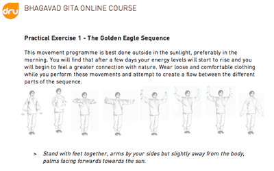 Dru Bhagavad Gita online course golden eagle extract