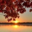 avatar-autumn-sunset