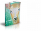 Deer Lightful - childrens yoga of Dru Yoga's Energy Block Release 1, by Suzanna Thell, illustrated by Yuti MacLean