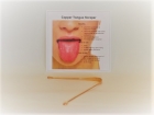Tongue Scraper, copper