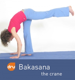yoga-pose-crane