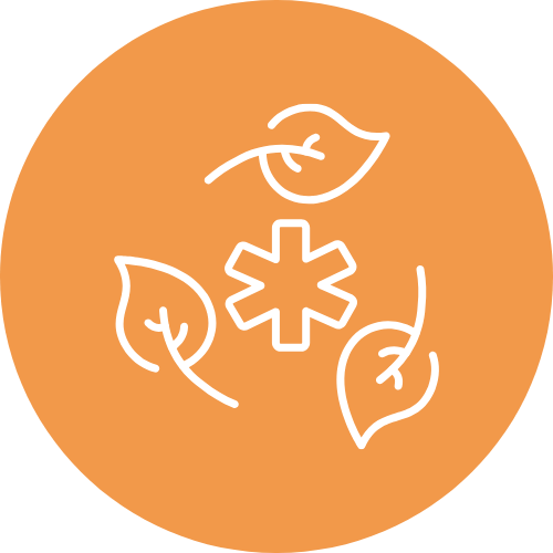 leafs natural remedy Icon 500x500px