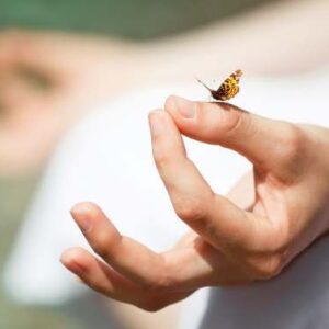 Dru Meditation and Bhagavad Gita study - gnyaan mudra and butterfly