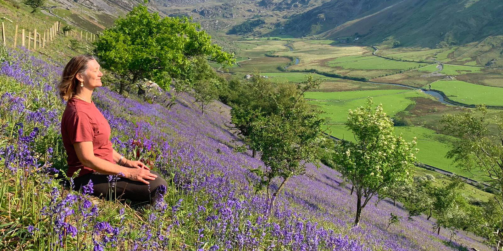 1600-Ruth-Gent-in-Bluebells