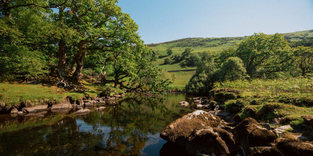 Valley River Nature